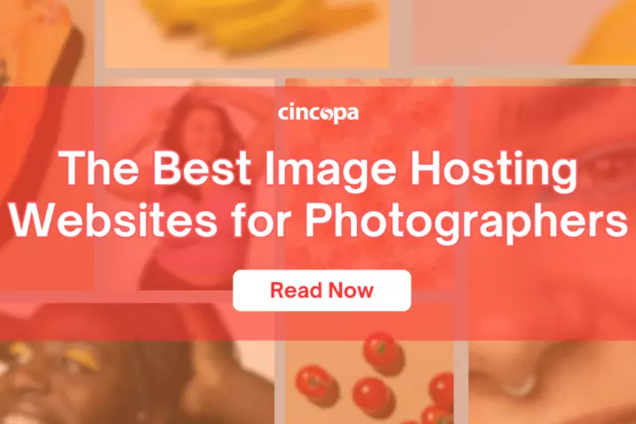 The Best Image Hosting Websites for Photographers